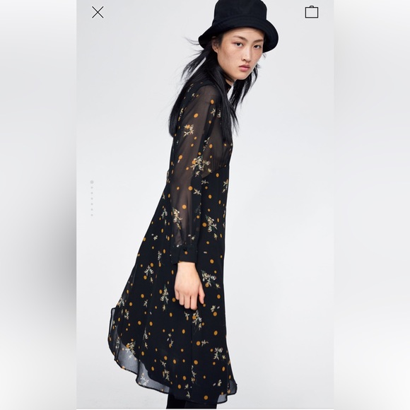 Zara Floral & Polka Dot Printed A-line Dress - Picture 7 of 7